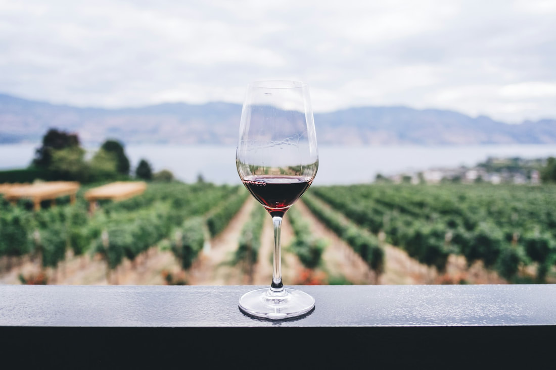 Glass of red wine on the edge of a deck, with rows of grapes and a lake in the distance. Wineries of British Columbia.Picture